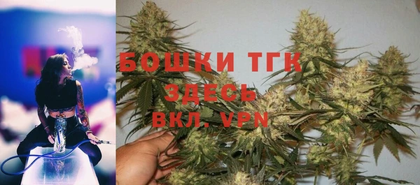 мдпв Волосово