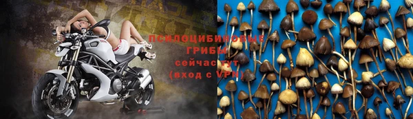 мдпв Волосово